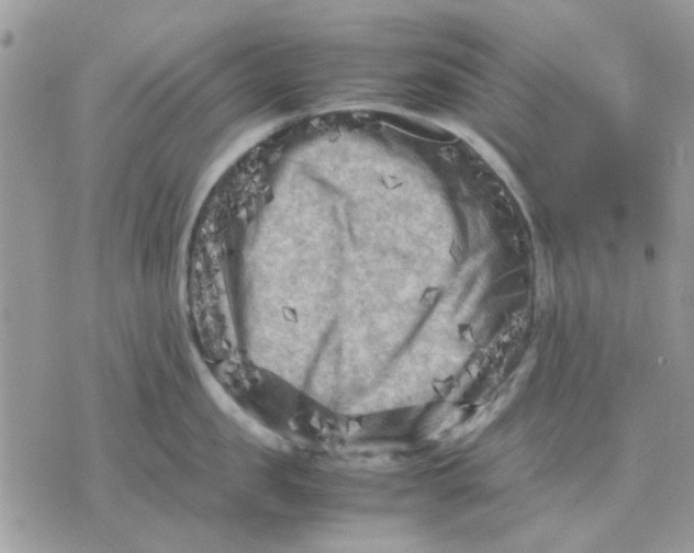 X0000075380957200609291548