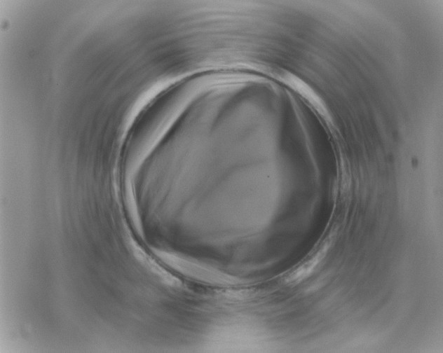 X0000075380958200609291548