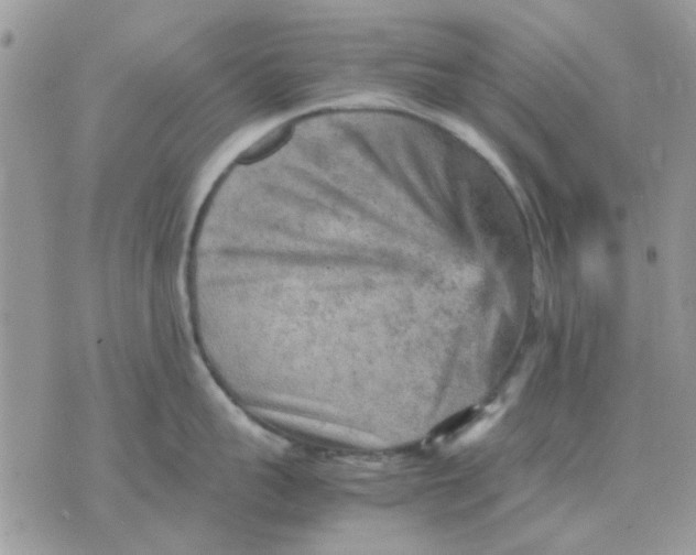 X0000075380959200609291548