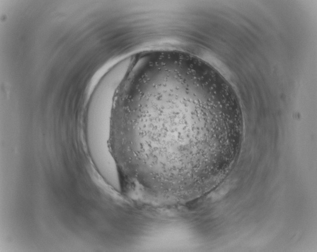 X0000075380960200609291548