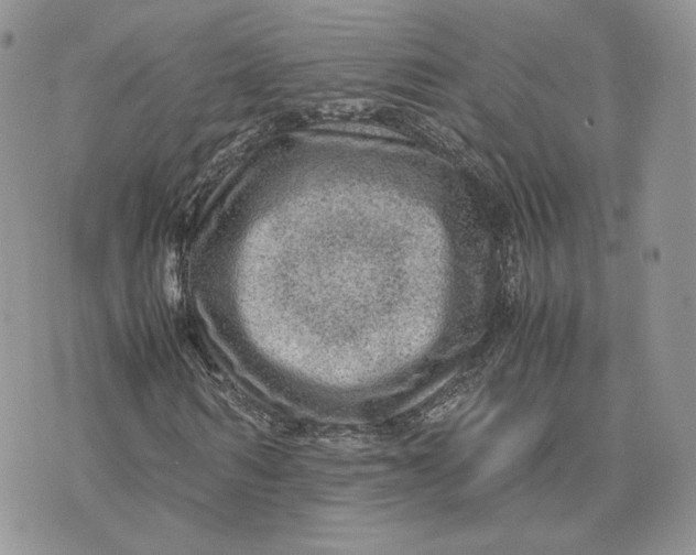 X0000075380962200609291547