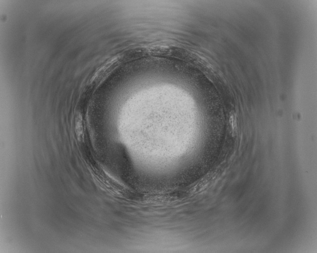 X0000075380963200609291547