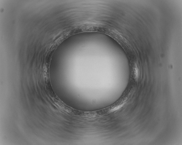 X0000075380964200609291547