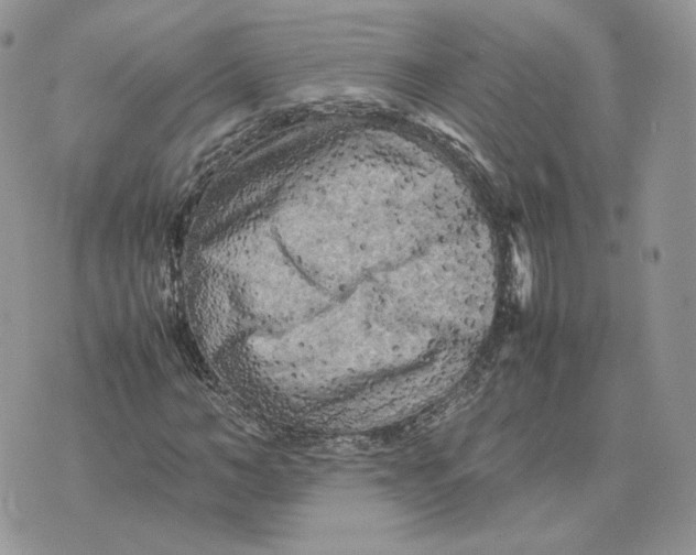 X0000075380966200609291547