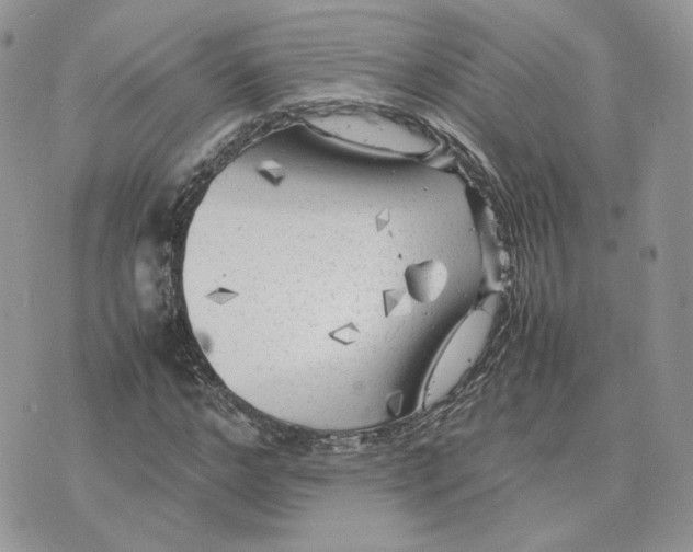 X0000075380968200609291547