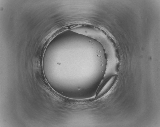 X0000075380969200609291547