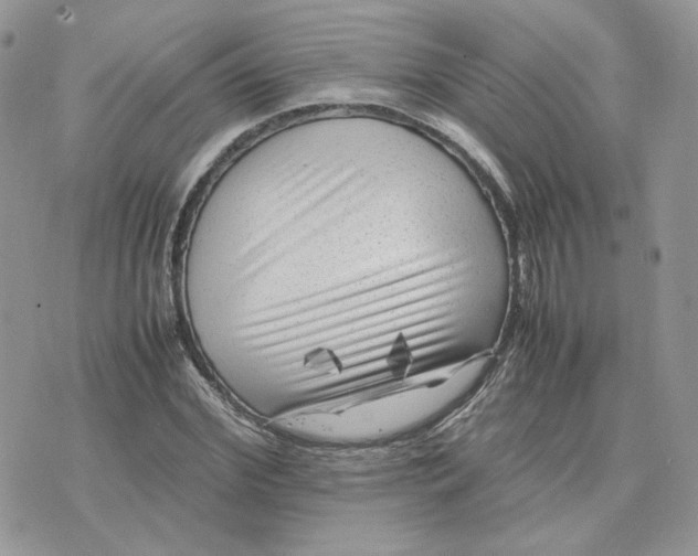 X0000075380972200609291547