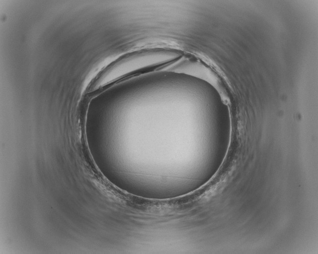 X0000075380973200609291547