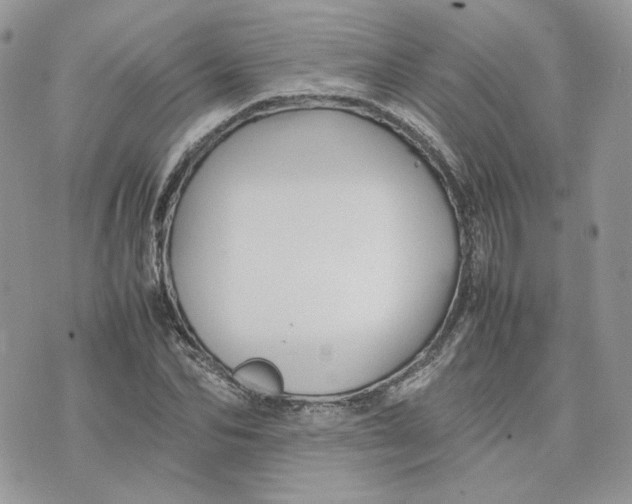 X0000075380974200609291547