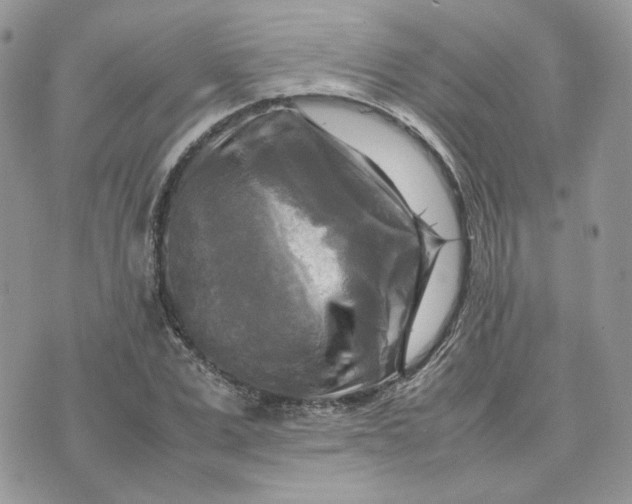 X0000075380975200609291547