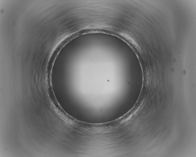 X0000075380976200609291547