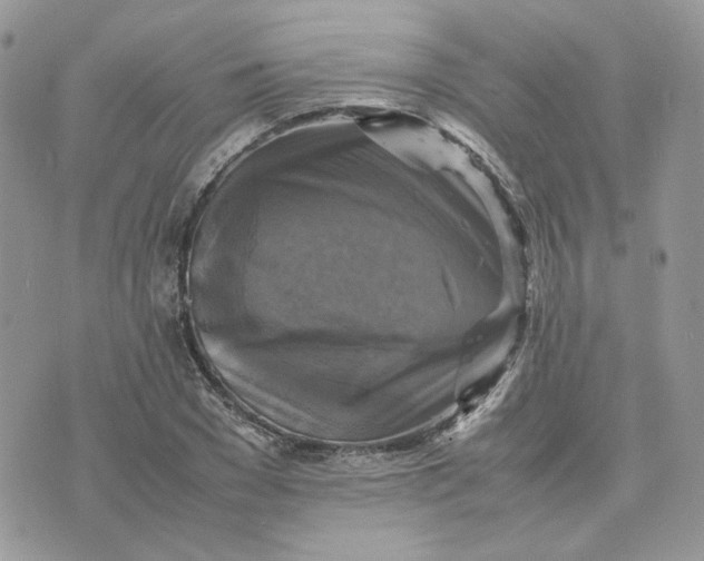 X0000075380977200609291547