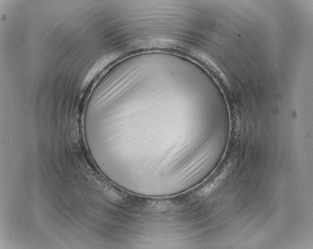 X0000075380978200609291547