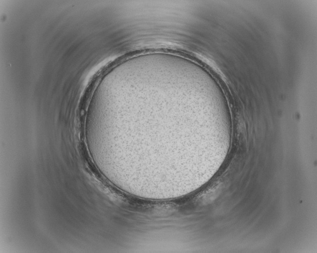 X0000075380979200609291547