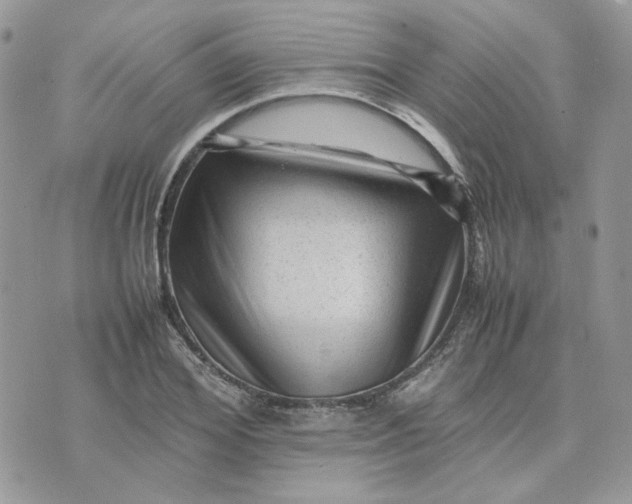 X0000075380980200609291546