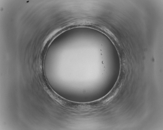 X0000075380981200609291546