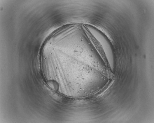 X0000075380982200609291546