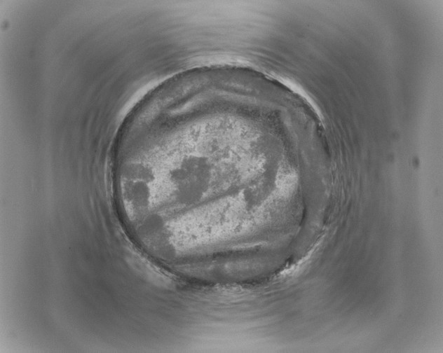 X0000075380983200609291546