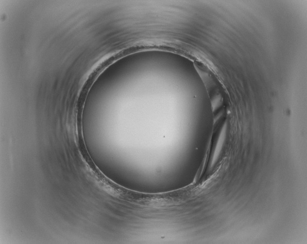 X0000075380984200609291546