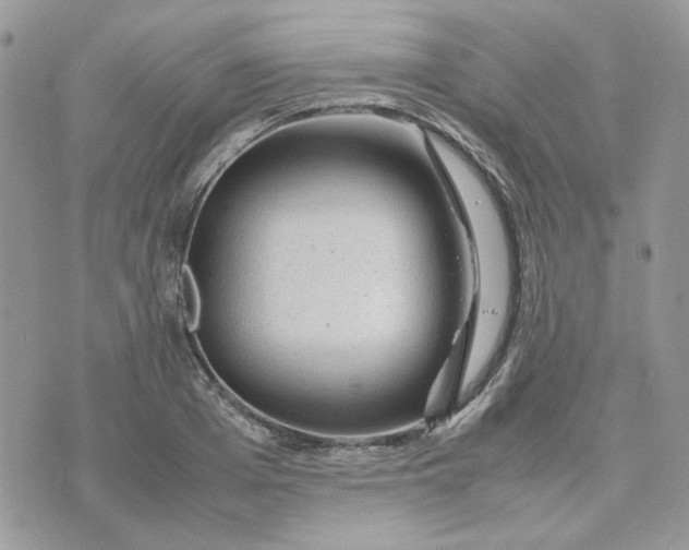 X0000075380985200609291546