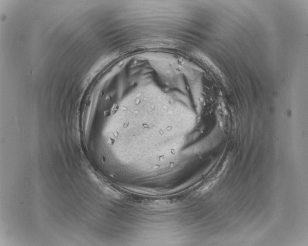 X0000075380986200609291546