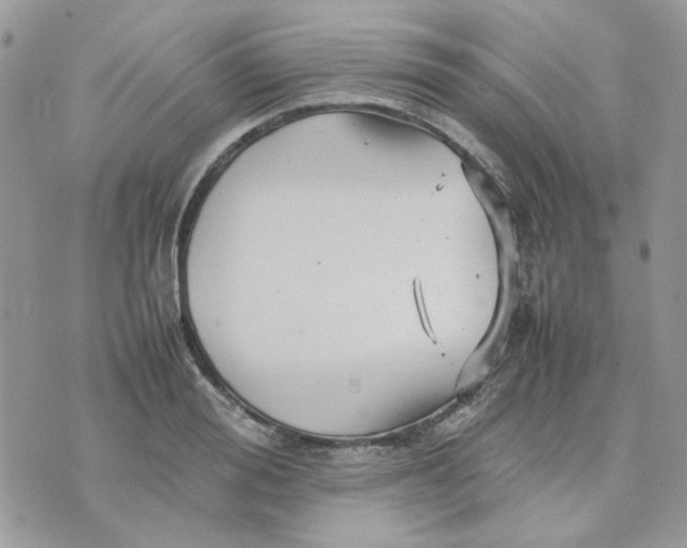 X0000075380988200609291546