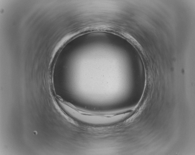 X0000075380989200609291546