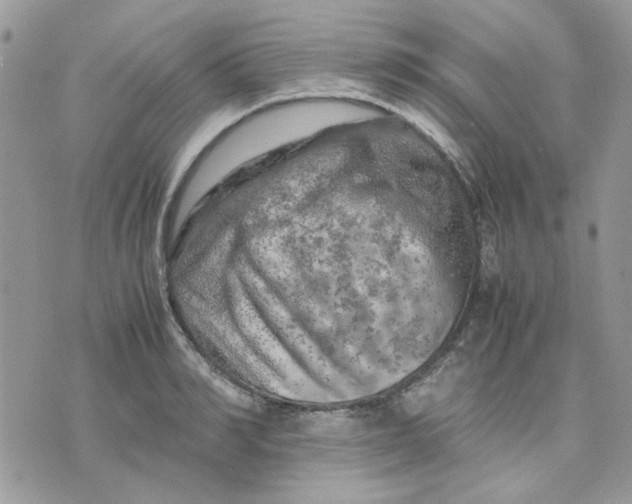 X0000075380990200609291546