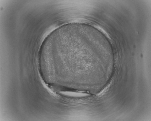 X0000075380991200609291546