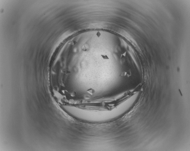 X0000075380992200609291546