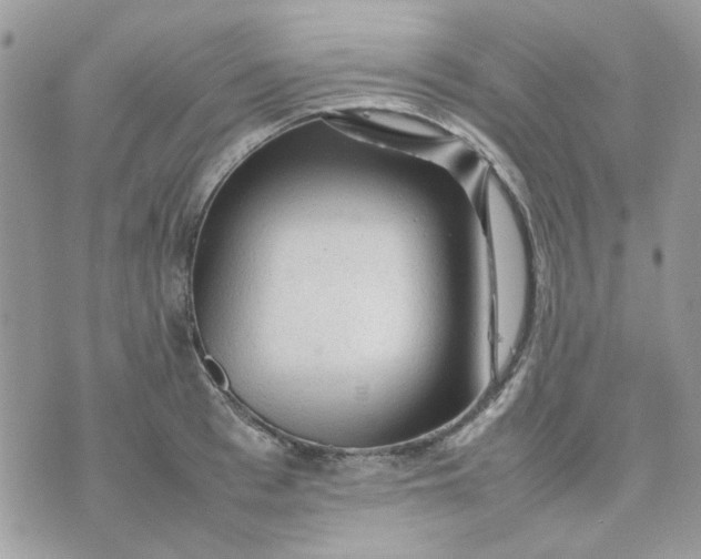 X0000075380993200609291546