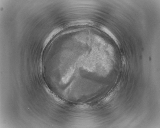 X0000075380994200609291546