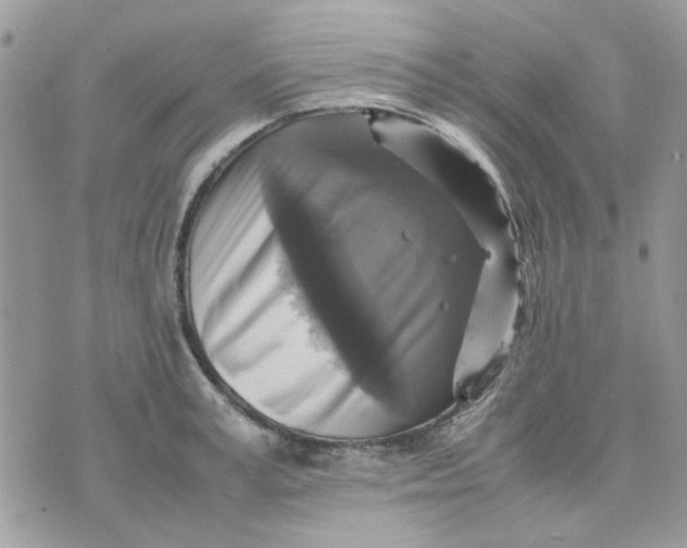 X0000075380995200609291546