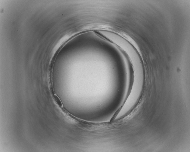 X0000075380997200609291546