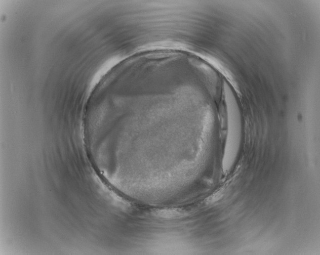 X0000075380998200609291546