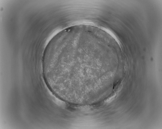 X0000075380999200609291546