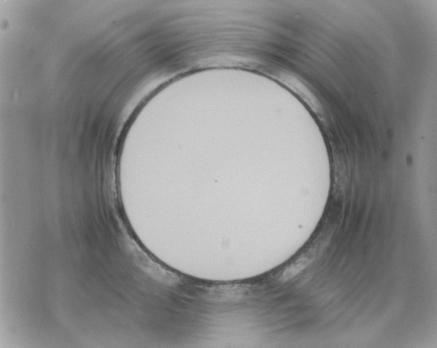 X0000075381000200609291546