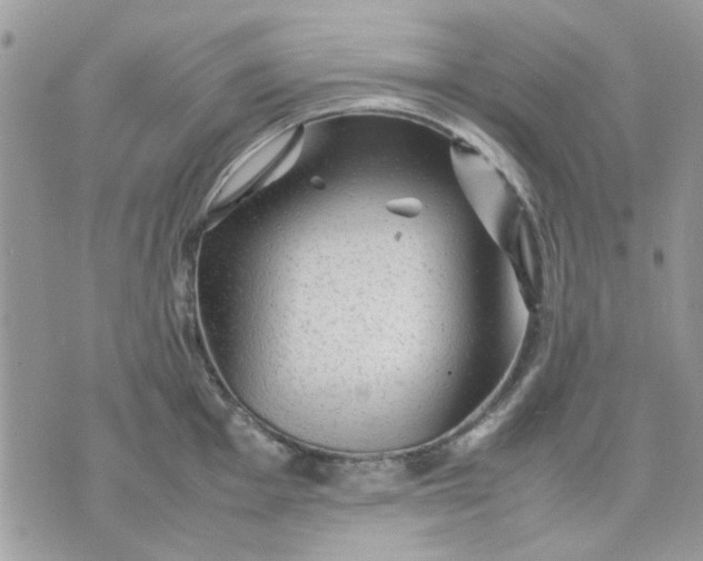 X0000075381001200609291546