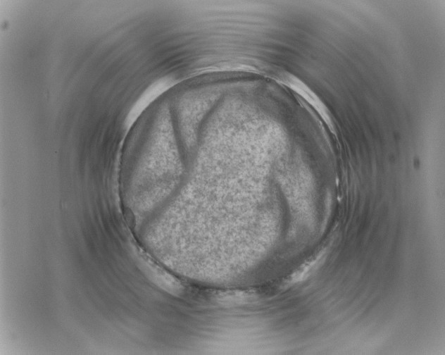 X0000075381002200609291546