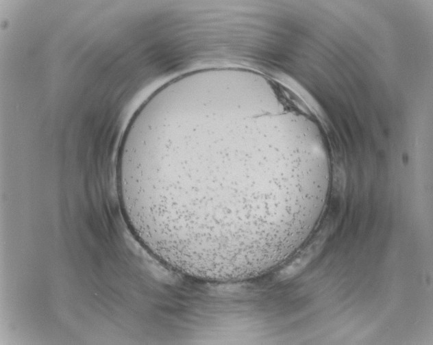 X0000075381004200609291546