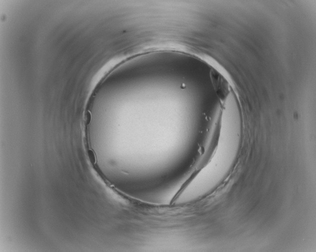 X0000075381005200609291546