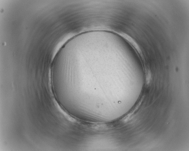 X0000075381006200609291546