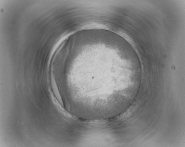 X0000075381008200609291546