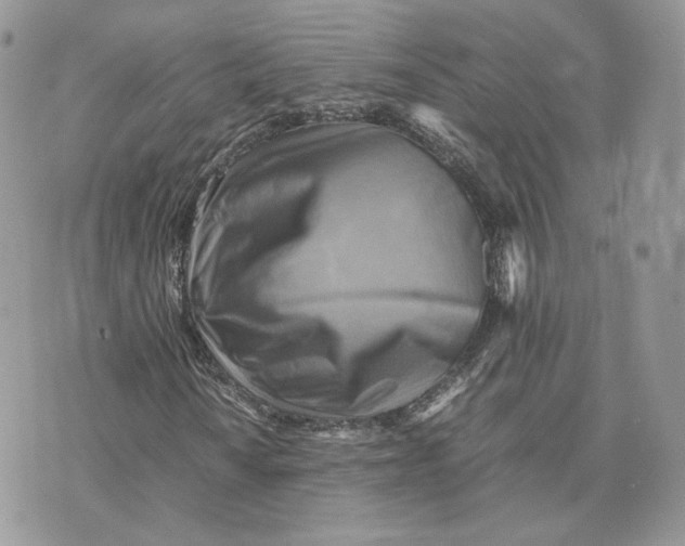 X0000075381010200609291545