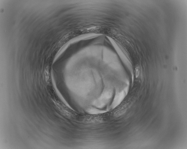 X0000075381011200609291545