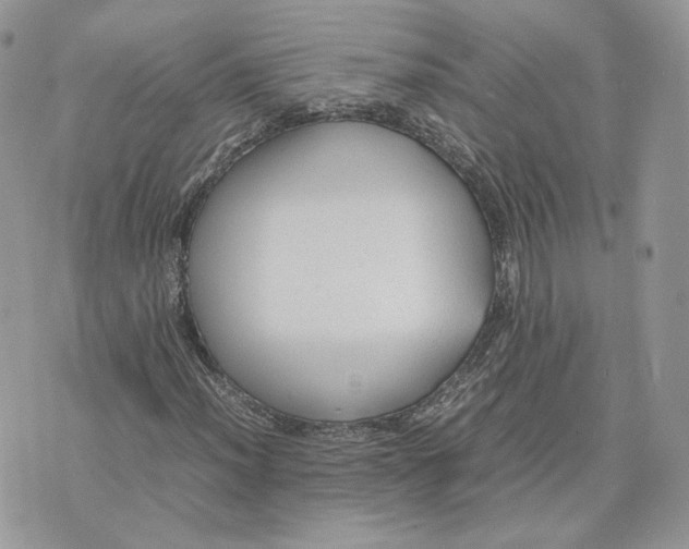 X0000075381012200609291545