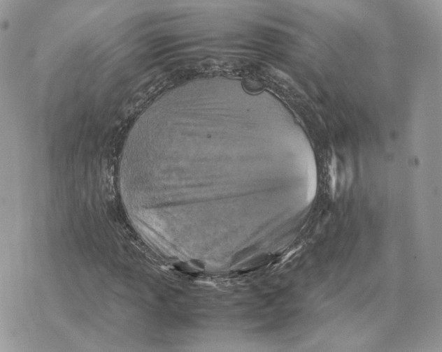 X0000075381013200609291545