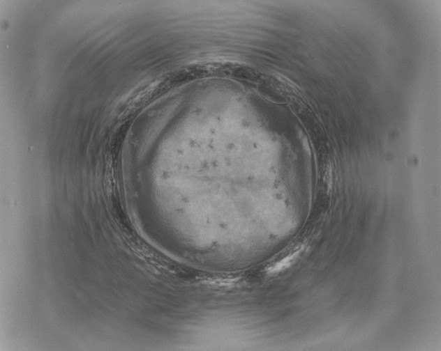 X0000075381014200609291545