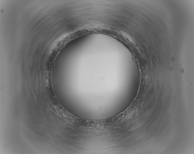 X0000075381016200609291545