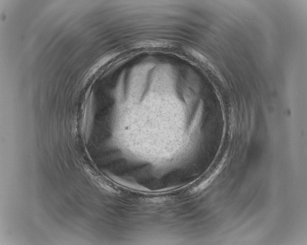 X0000075381017200609291545